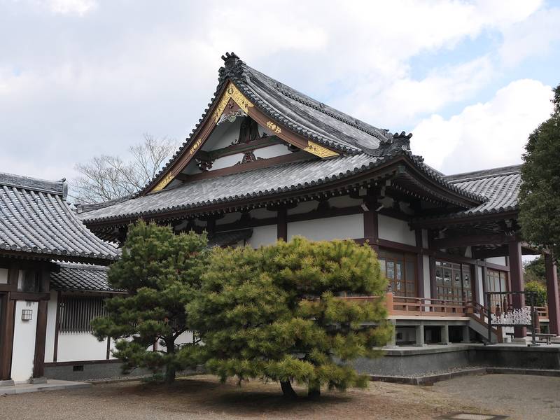 松の木の向こうに建つ、瓦屋根の寺のお堂